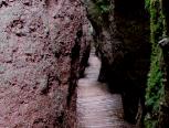 Drachenschlucht bei Eisenach