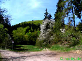 In der N�he... Rotwand (187563 Byte)