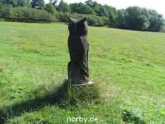 kornkreis_12-08-07-79_xl.jpg (226377 Byte)