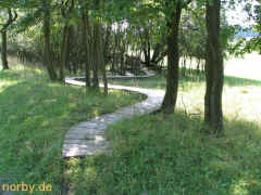 kornkreis_12-08-07-85_xl.jpg (211696 Byte)