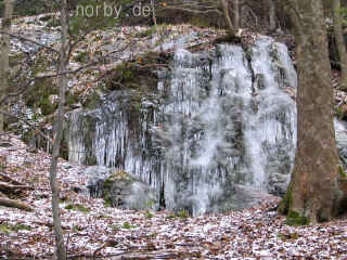 2_streitende_burgen_17-12-07_8446-l.jpg (148033 Byte)