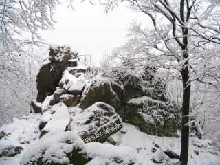 gervuenstein_15-12-07_8284-l.jpg (113879 Byte)