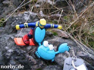 gipfelstuermer_14-12-07_8103-xl.jpg (128437 Byte)