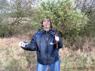 baum-09-02-07-19-xl.jpg (244101 Byte)