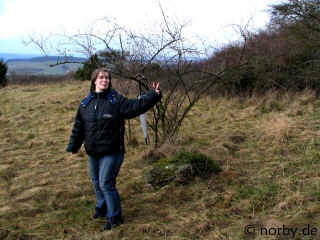 baum-09-02-07-23-xl.jpg (170665 Byte)