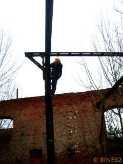 bw-04-02-07-bine29-xl.jpg (127641 Byte)