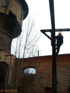 bw-04-02-07-bine30-xl.jpg (117510 Byte)