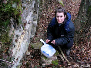 creuzburgerrunde-04-02-07-161-xl.jpg (181428 Byte)