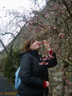 creuzburgerrunde-04-02-07-bine17-xl.jpg (202792 Byte)