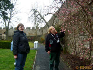 creuzburgerrunde-04-02-07-bine18-xl.jpg (149052 Byte)