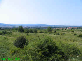 ohrdruf_15-07-07-49-xl.jpg (116203 Byte)