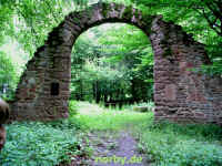 blumenstein_23-06-07_30-xl.jpg (229947 Byte)