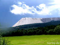 miss_green_23-06-07_88-xl.jpg (88055 Byte)