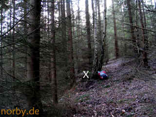 samter-aermel-10-03-07-74-xl.jpg (206209 Byte)