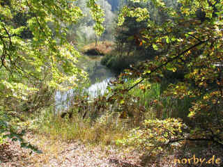 das_raetsel_hautsee_07-10-07_7073-xl.jpg (268222 Byte)