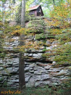 katzenhaus_07-10-07_7004-xl.jpg (230594 Byte)