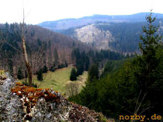 ickersbach-felsen_18-04-08_2010-l.jpg (93794 Byte)