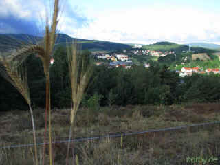 ein_kleines_stueck_bayern_13-08-08_1772-l.jpg (69975 Byte)