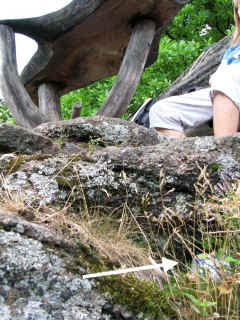 felsenbank_16-08-08_1829-l.jpg (121570 Byte)