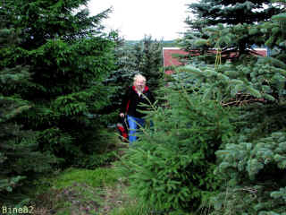 grauer-stuhl_24-08-08_2035-l.jpg (118960 Byte)