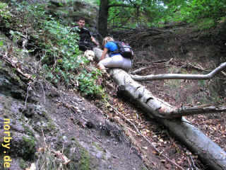 hoehle-oder-bergwerk_16-08-08_1846-l.jpg (147772 Byte)