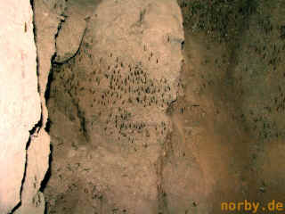 hoehle-oder-bergwerk_16-08-08_1851-l.jpg (84180 Byte)