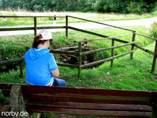 rastplatz_am_wasserrad_09-08-08_1459-l.jpg (119965 Byte)