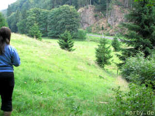 waldhaus_24-08-08-_1979-l.jpg (112379 Byte)