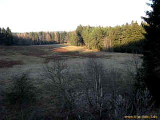 Raubschloss 28-12-08 1909-l.jpg (68166 Byte)