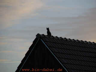 florian-4_07-02-08_9788-xl.jpg (47396 Byte)