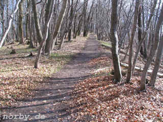 grenzsteine_05-03-08_879_l.jpg (160771 Byte)