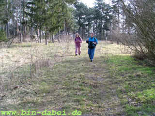 magnetic_23-02-08_352-l.jpg (83933 Byte)