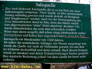 salzquelle_12-02-08_9834-xl.jpg (195284 Byte)
