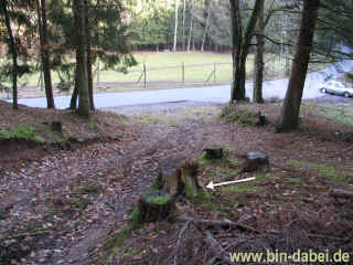 damwild_23-01-08_9345-xl.jpg (196447 Byte)