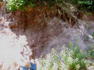 viernauer_stoerung-1_08-06-08_2890.jpg (76147 Byte)