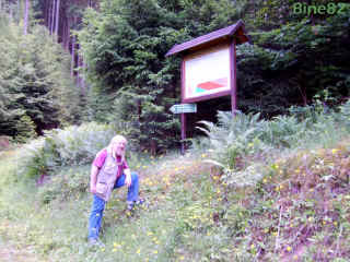 viernauer_stoerung-2_08-06-08_2882.jpg (80153 Byte)