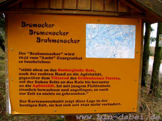 lucy-bruch_16-03-08_955-l.jpg (84902 Byte)