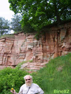 norby.de am Buntsandsteinbruch bei Kieselbach am 25-05-08 BildNr. 2374-i (117403 Byte)