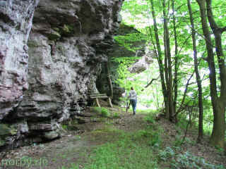 hainfelsen_17-05-08_3261-l.jpg (121555 Byte)