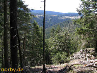 hohe-sicht_02-05-08_2699-l.jpg (119653 Byte)