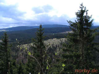 hohe-sicht_02-05-08_2711-l.jpg (73105 Byte)