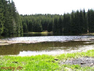 hohe-sicht_02-05-08_2722-l.jpg (110212 Byte)