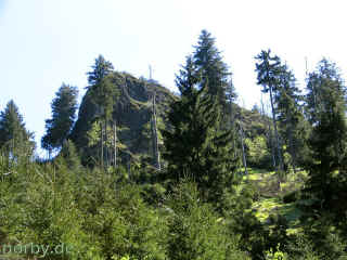 ko-4_11-05-08_3070-l.jpg (111750 Byte)