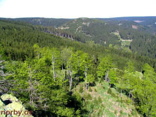 ko-6_11-05-08_3181-l.jpg (121148 Byte)