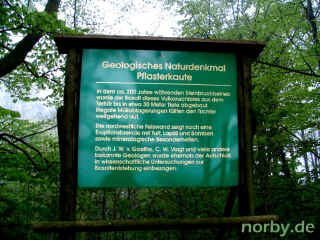 pflasterkaute_03-05-08_2756-l.jpg (117298 Byte)