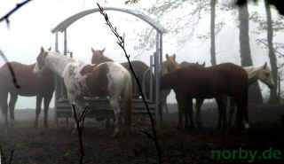 st-jost_03-05-08_2764-l.jpg (43906 Byte)