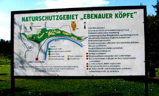 wish_you_were_here_04-05-08_2865-l.jpg (81542 Byte)