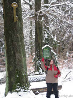 Auerhahn-Rennsteig 30-11-08 680-l.jpg (127759 Byte)