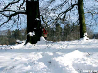 Auerhahn-Rennsteig 30-11-08 717-l.jpg (110047 Byte)