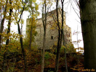 Ehrenburg 02-11-08 3437-l.jpg (124785 Byte)
